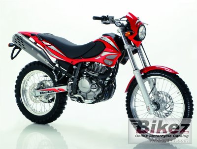 2006 beta alp 4.0 photo